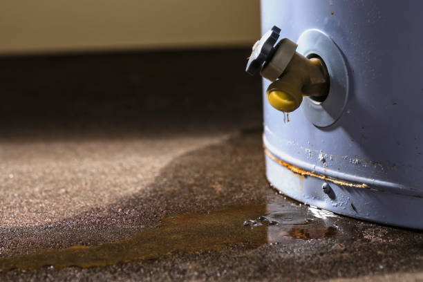 Best Flooded house restoration  in Hamburg, NJ
