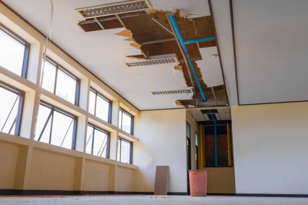 Best Water damage restoration process  in Hamburg, NJ