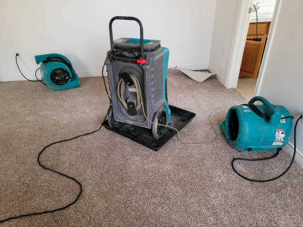 Best Flood damage cleanup  in Hamburg, NJ