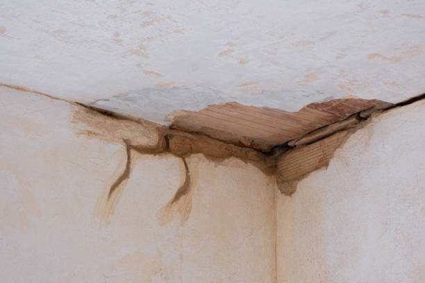 Best Water damage restoration near me  in Hamburg, NJ