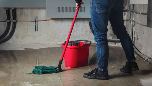 Trusted Hamburg, NJ Water damage restoration Experts