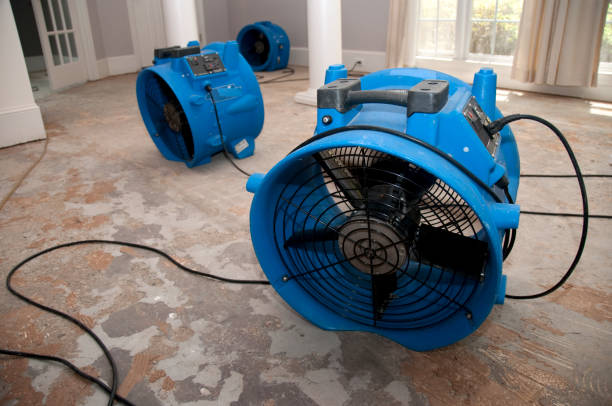 Best Residential water damage restoration  in Hamburg, NJ