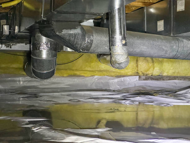 Best Local water damage restoration  in Hamburg, NJ