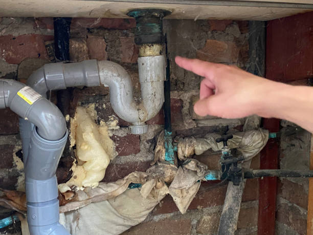 Best Ceiling water damage repair  in Hamburg, NJ