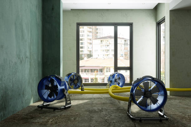 Best Emergency water damage restoration  in Hamburg, NJ
